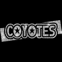 GLT96 SILVER GLITTER Thumbnail