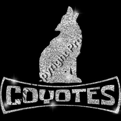 GLT94 SILVER GLITTER Thumbnail