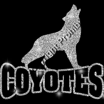 GLT32 SILVER GLITTER Thumbnail