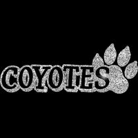 GLT17 SILVER GLITTER Thumbnail