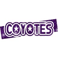 GLT96 PURPLE GLITTER Thumbnail